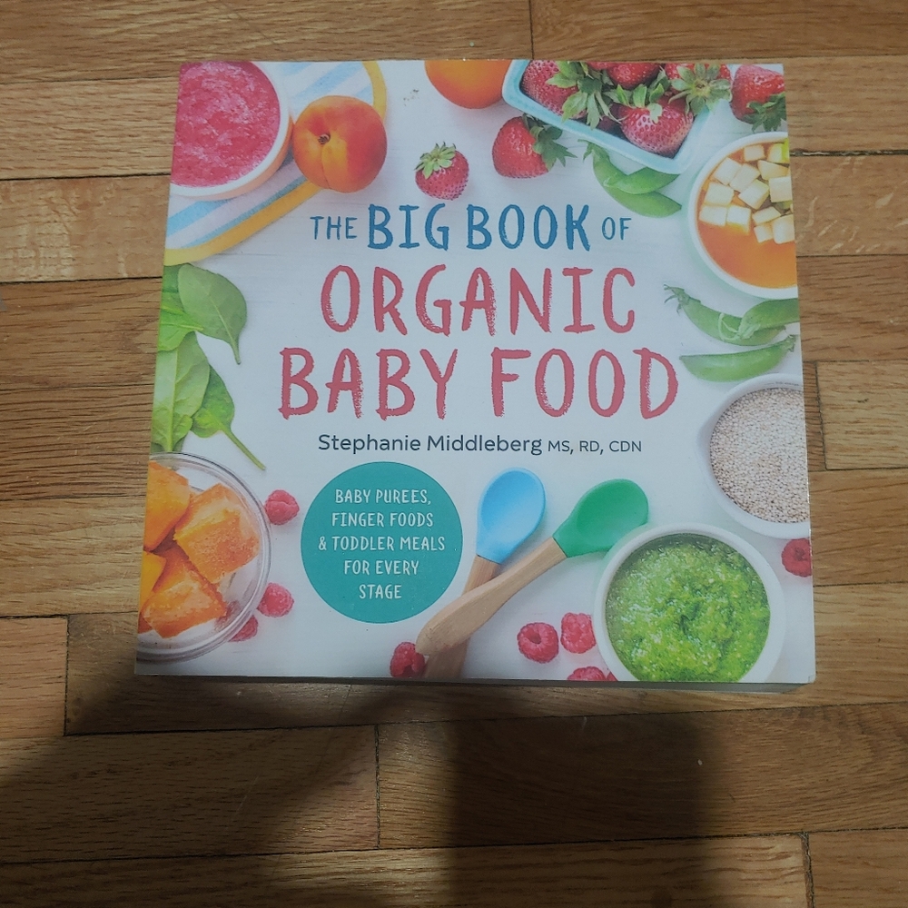 The Big Book of Organic Baby Food